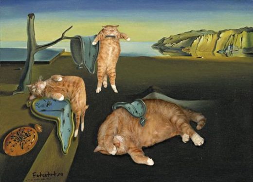 Gatos Dalí